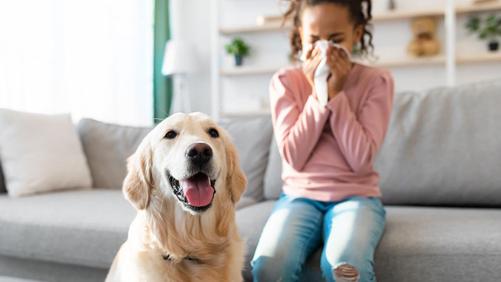 7 Tips to Allergy-Proof Your Home